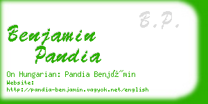 benjamin pandia business card